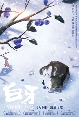 看h片网站